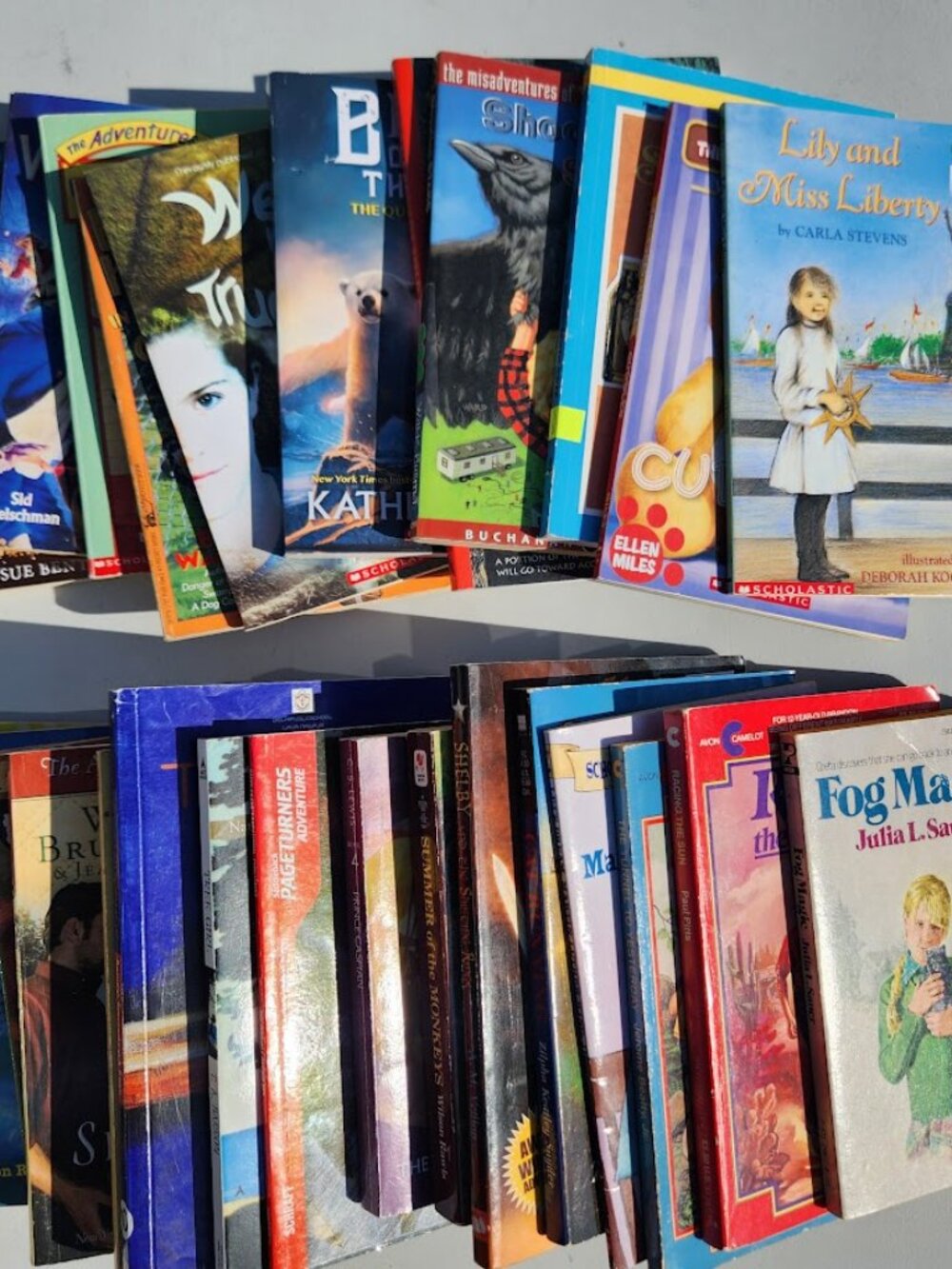 4 Book Bundle Lot Set Chapter Books Young Adult Literature Novels Mystery Books - Picture 4 of 16